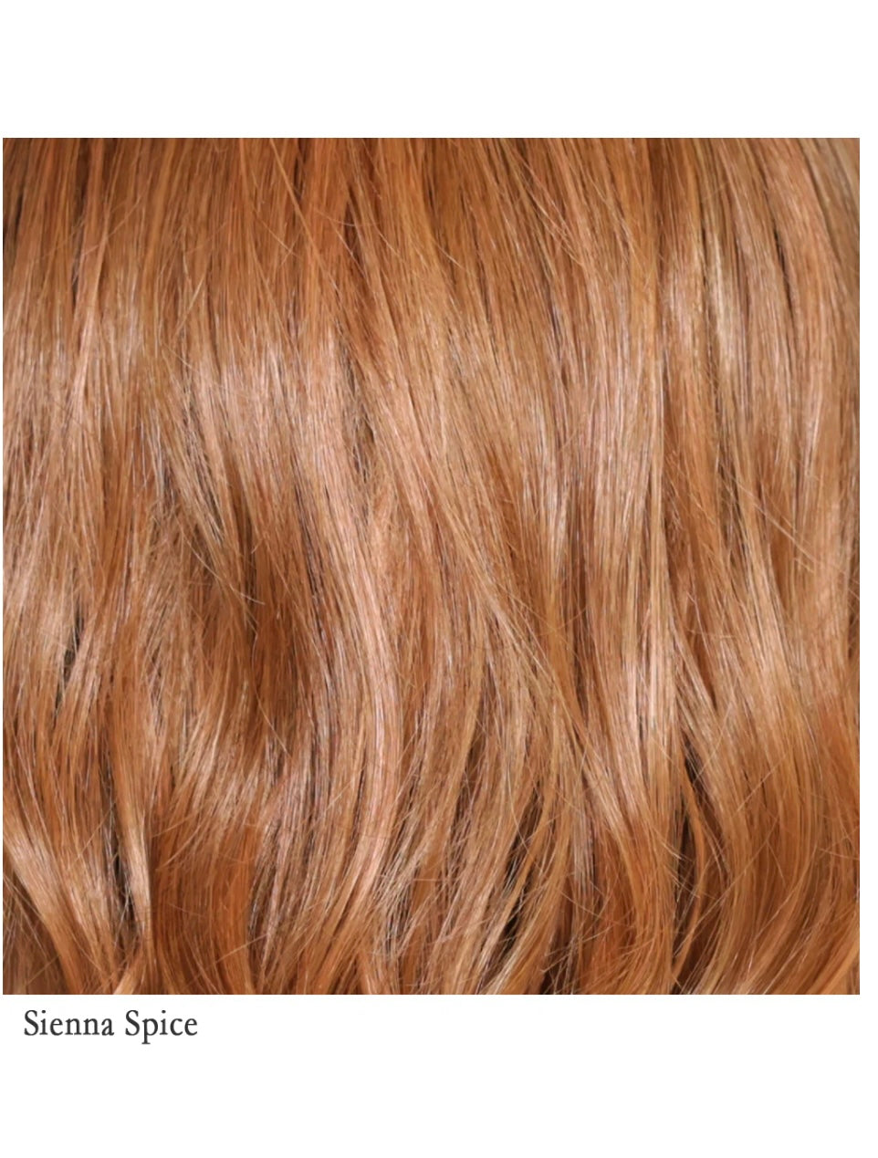 Beverly Hills Lace Front Wig
